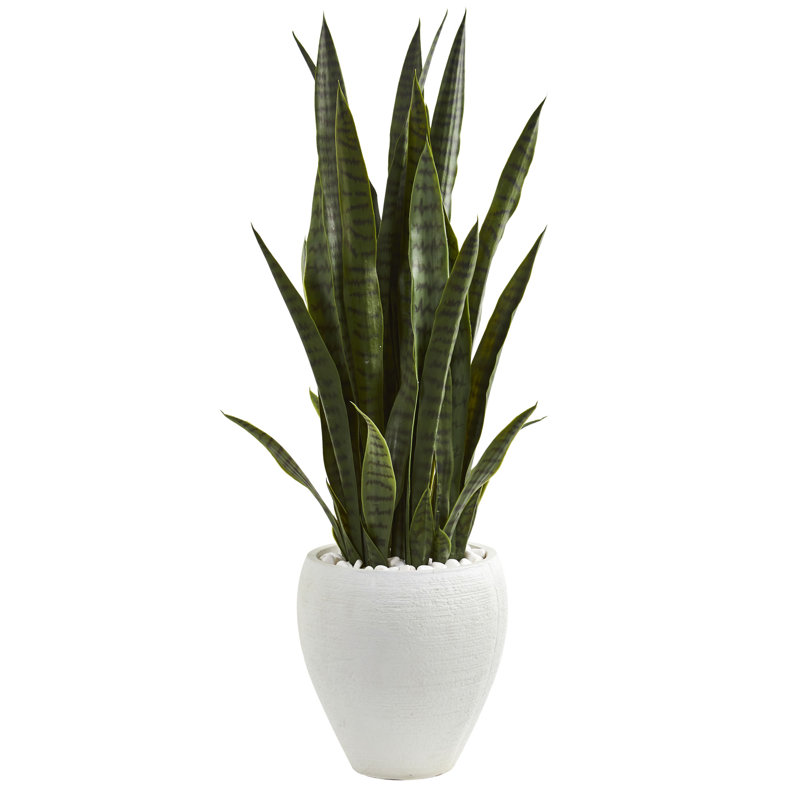 Bungalow Rose Sansevieria Artificial Snake Plant in Planter Wayfair